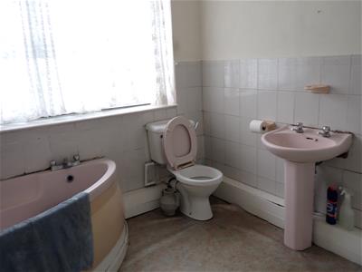 Picture 8